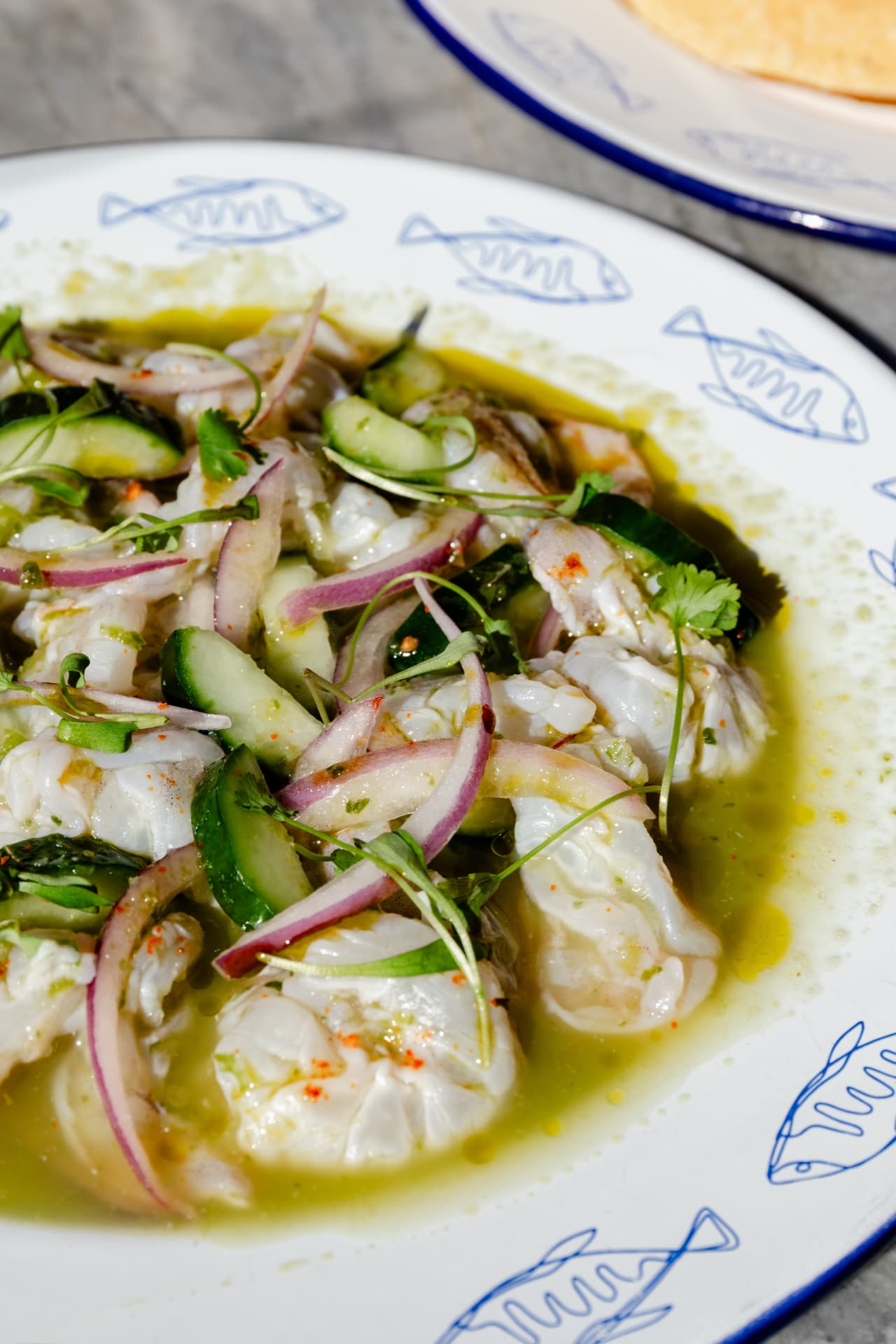 Shrimp aguachile with cucumber and red onion