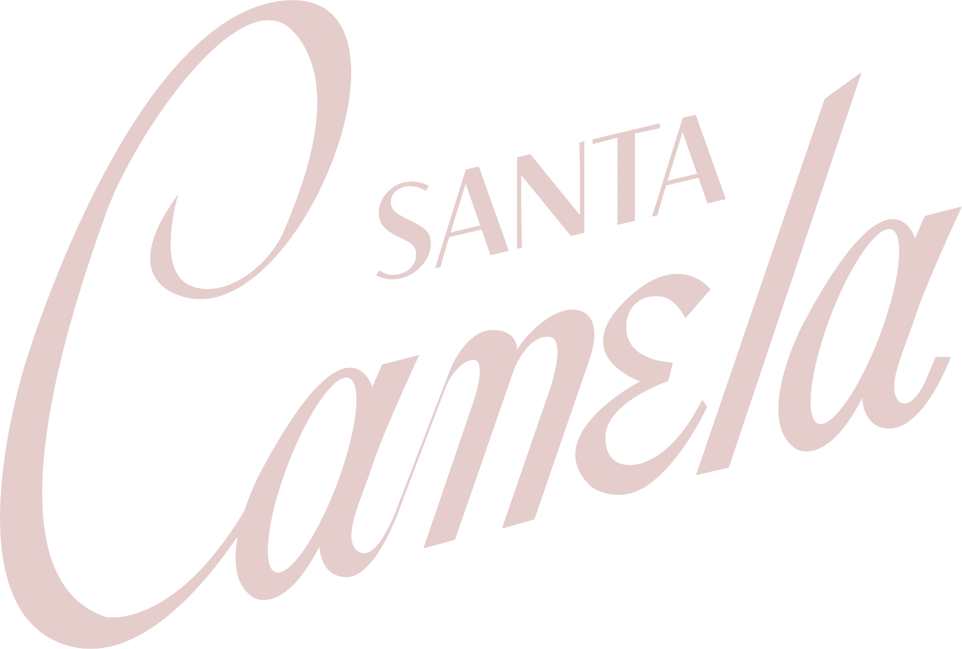 Santa Canela wordmark